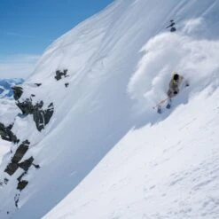 BLACK CROWS FEROX FREEBIRD 23 -Ski Sport Shop 9 113687 ferox freebird 101655 04